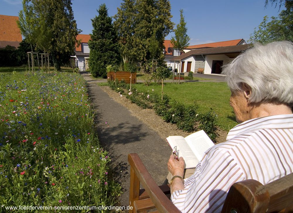 Lesen im Garten des Seniorenzentrums Oferdingen